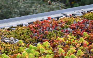 the cost of Lythes green roof installation