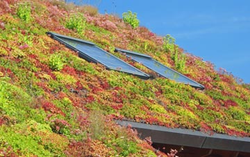Lythes living roof systems