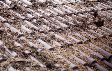 Lythes roof cleaning companies